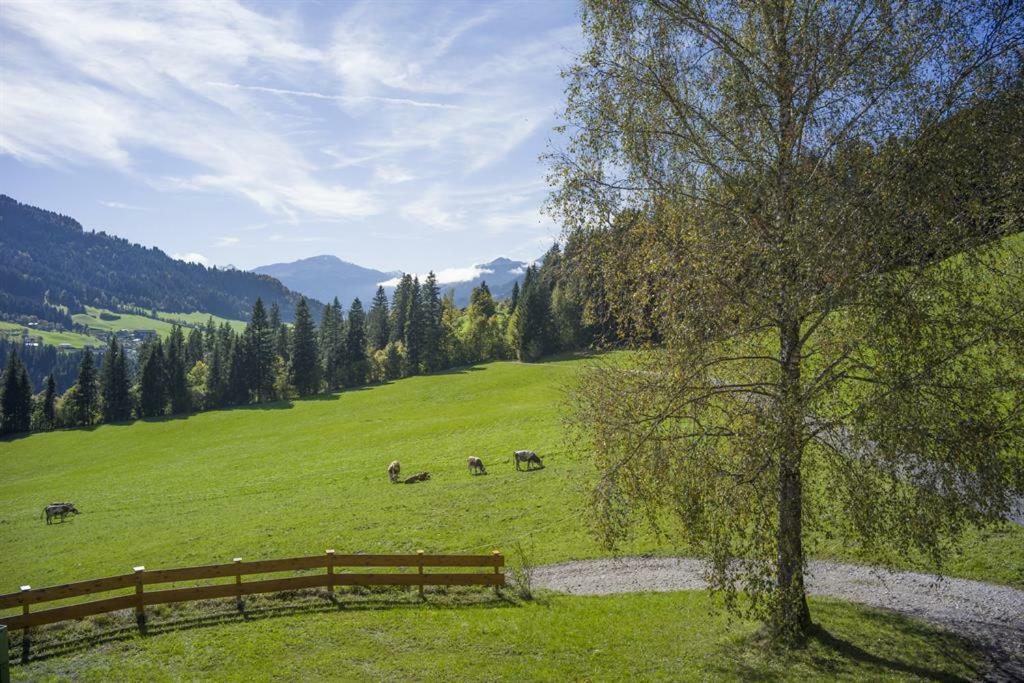 Bauernhof Hinterfirst Daire Söll Dış mekan fotoğraf